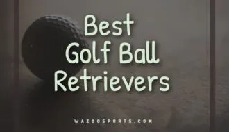 Best Golf Ball Retrievers