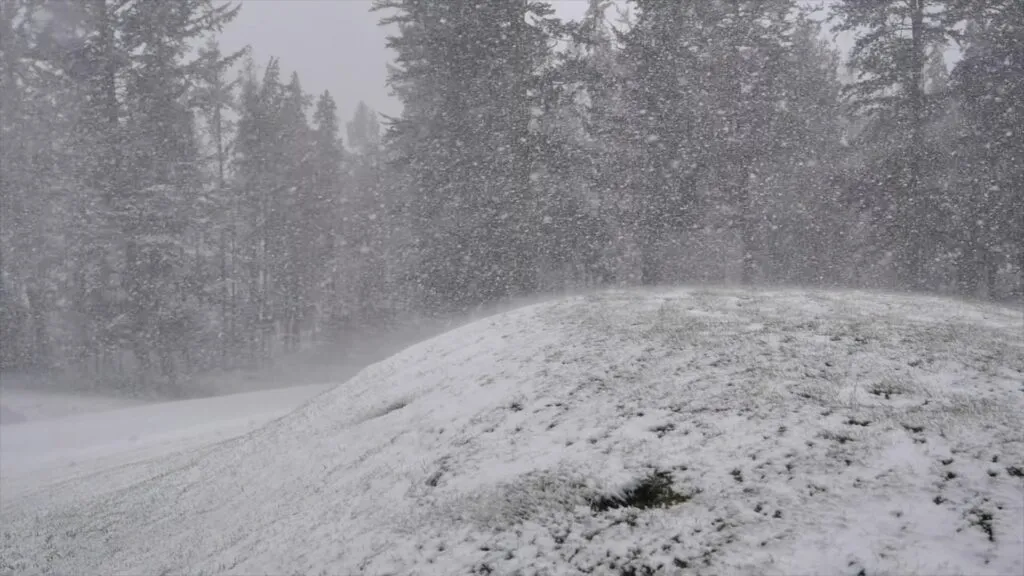 What Do Golf Courses Do in Winter